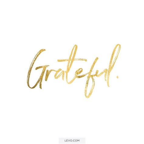 beyond grateful other term|grateful .